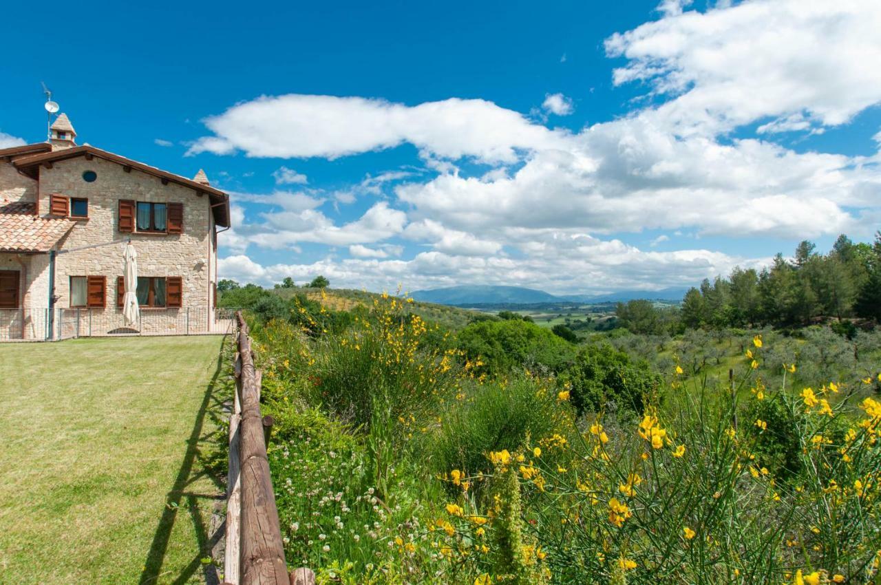 Agriturismo Molino Verde Montecchio  Exterior foto