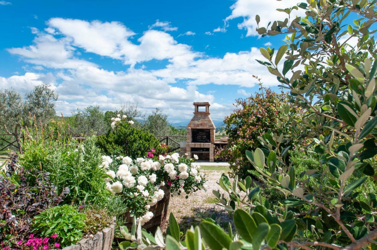 Agriturismo Molino Verde Montecchio  Exterior foto