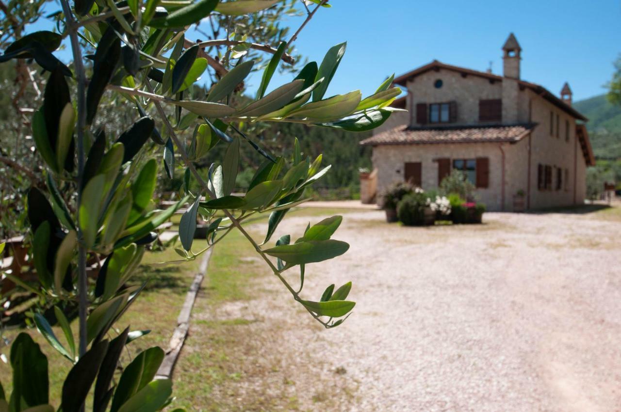Agriturismo Molino Verde Montecchio  Exterior foto