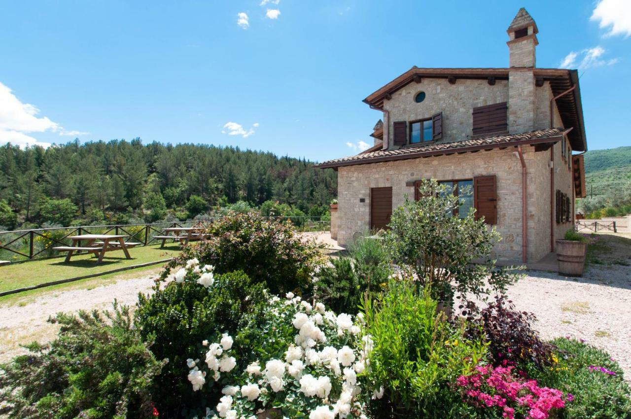 Agriturismo Molino Verde Montecchio  Exterior foto